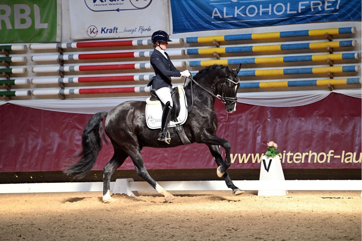 Dressurreiten in der Halle – Pferderecht Susanne Beck